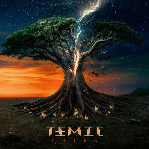 TEMIC - Ceiba