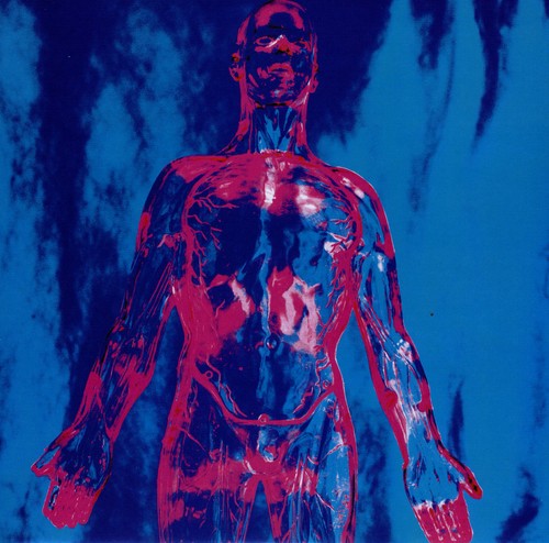 Nirvana - SLIVER